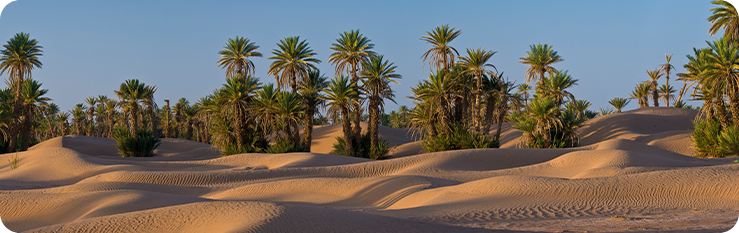 Paisagem Sahara